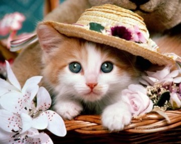猫 Painting - 帽子をかぶった猫